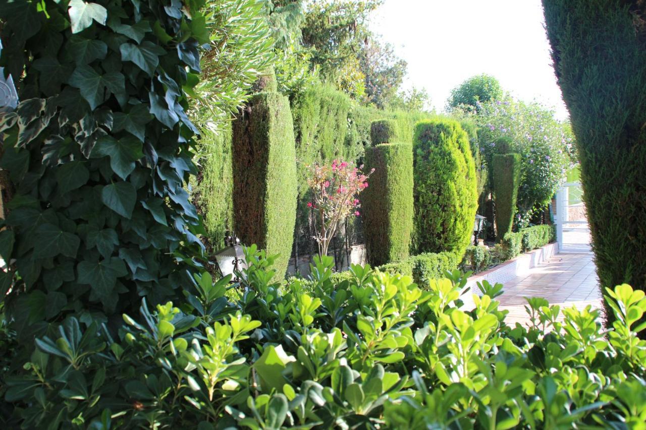 格拉纳达El Jardin De La Abuela别墅 外观 照片